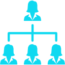 Team Members